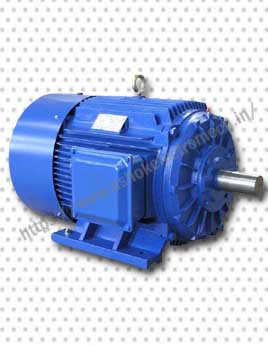 Rerolling Mill Duty Motors Wholesaler