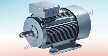 Electric Motor