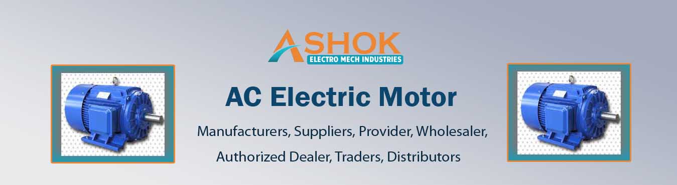 AC Electric Motor