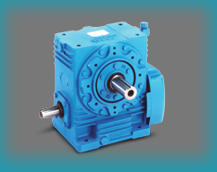 Elecon Worm Gearbox