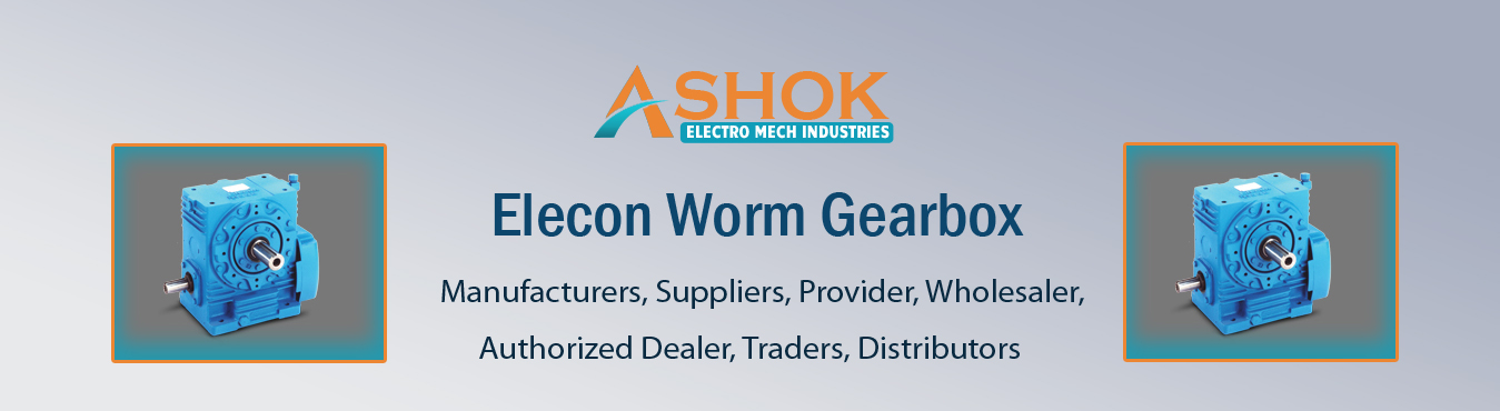 Elecon Worm Gearbox